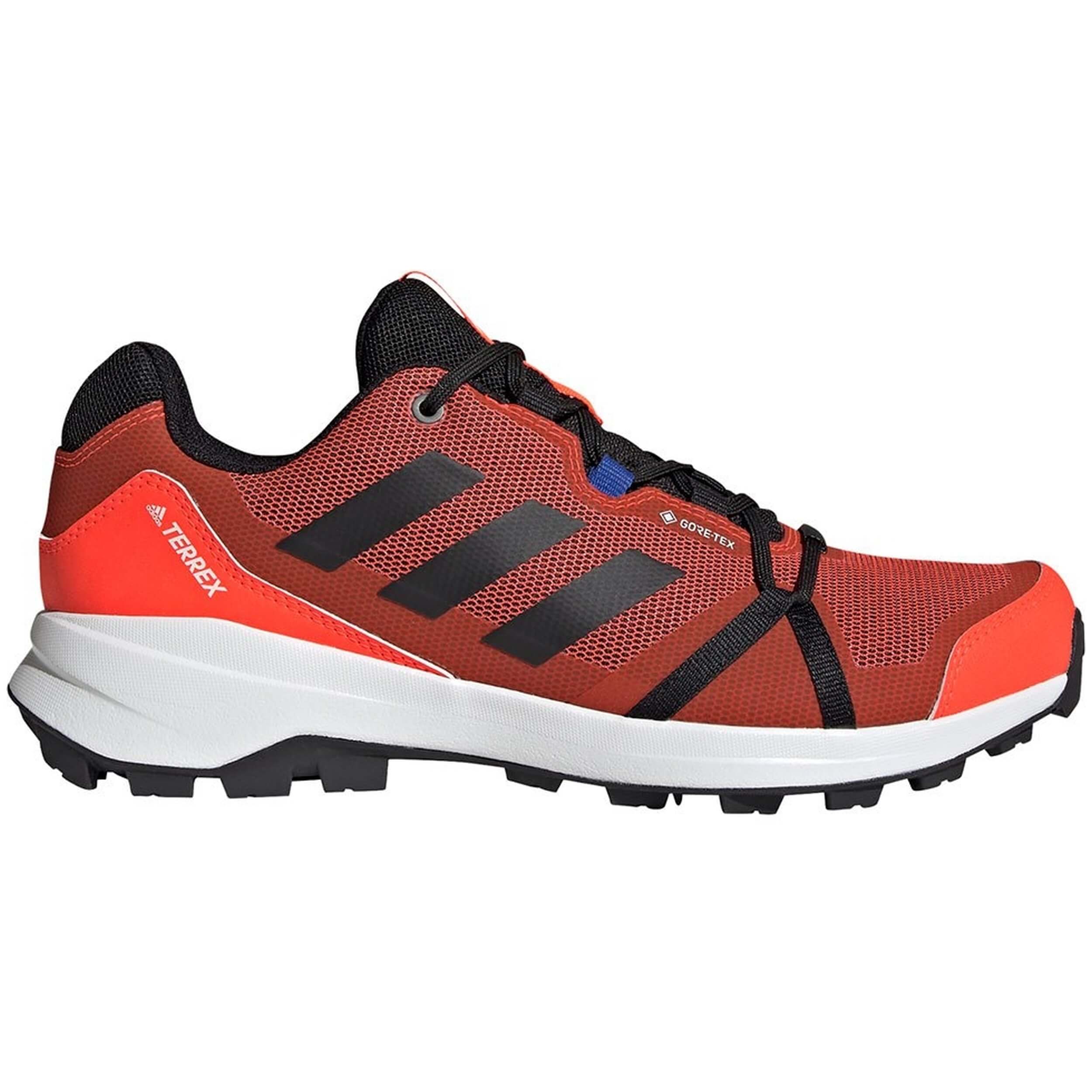Zapatillas Adidas Terrex Skyhiker Gtx