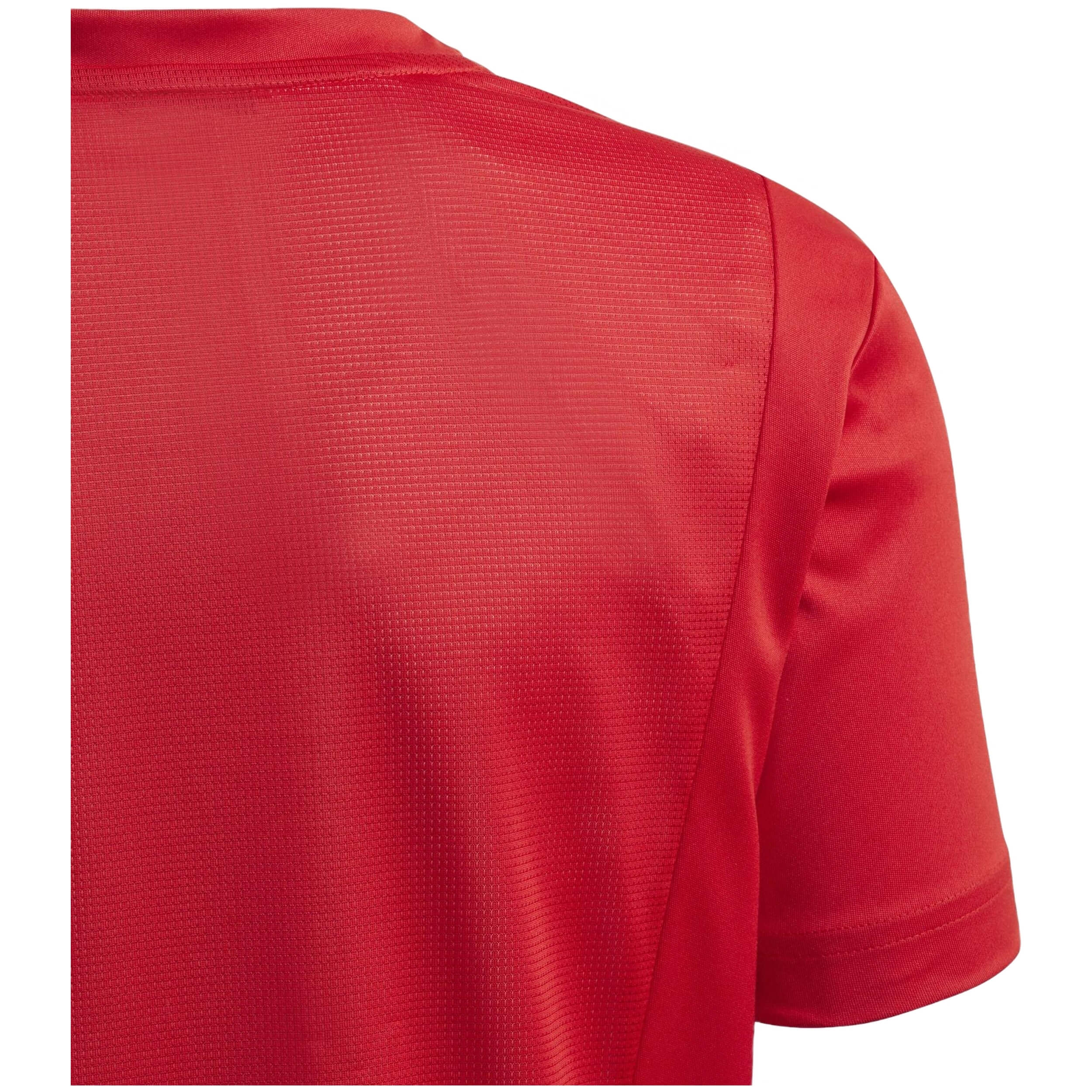 Imagen del producto con referencia GD6588