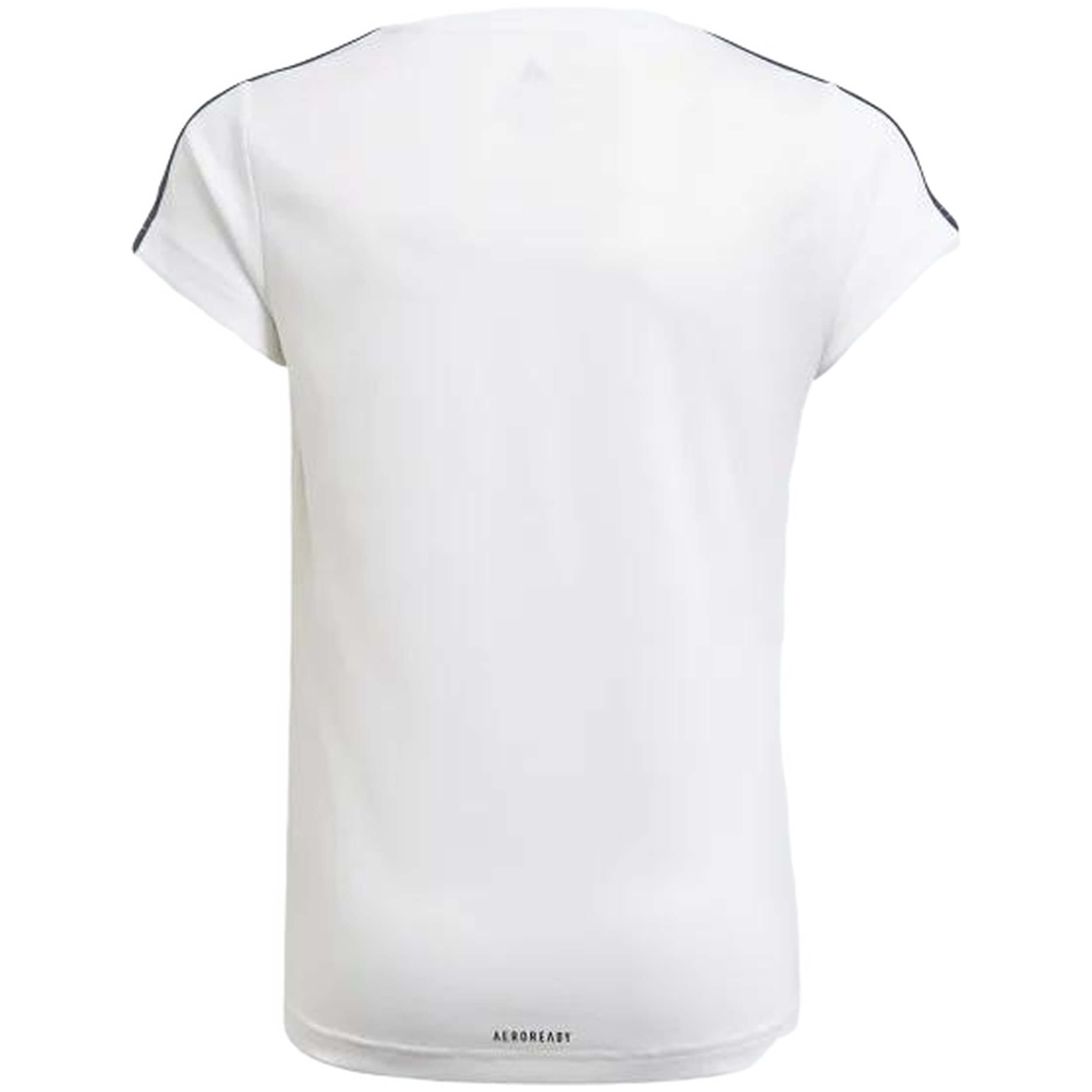 Imagen del producto con referencia GN1456