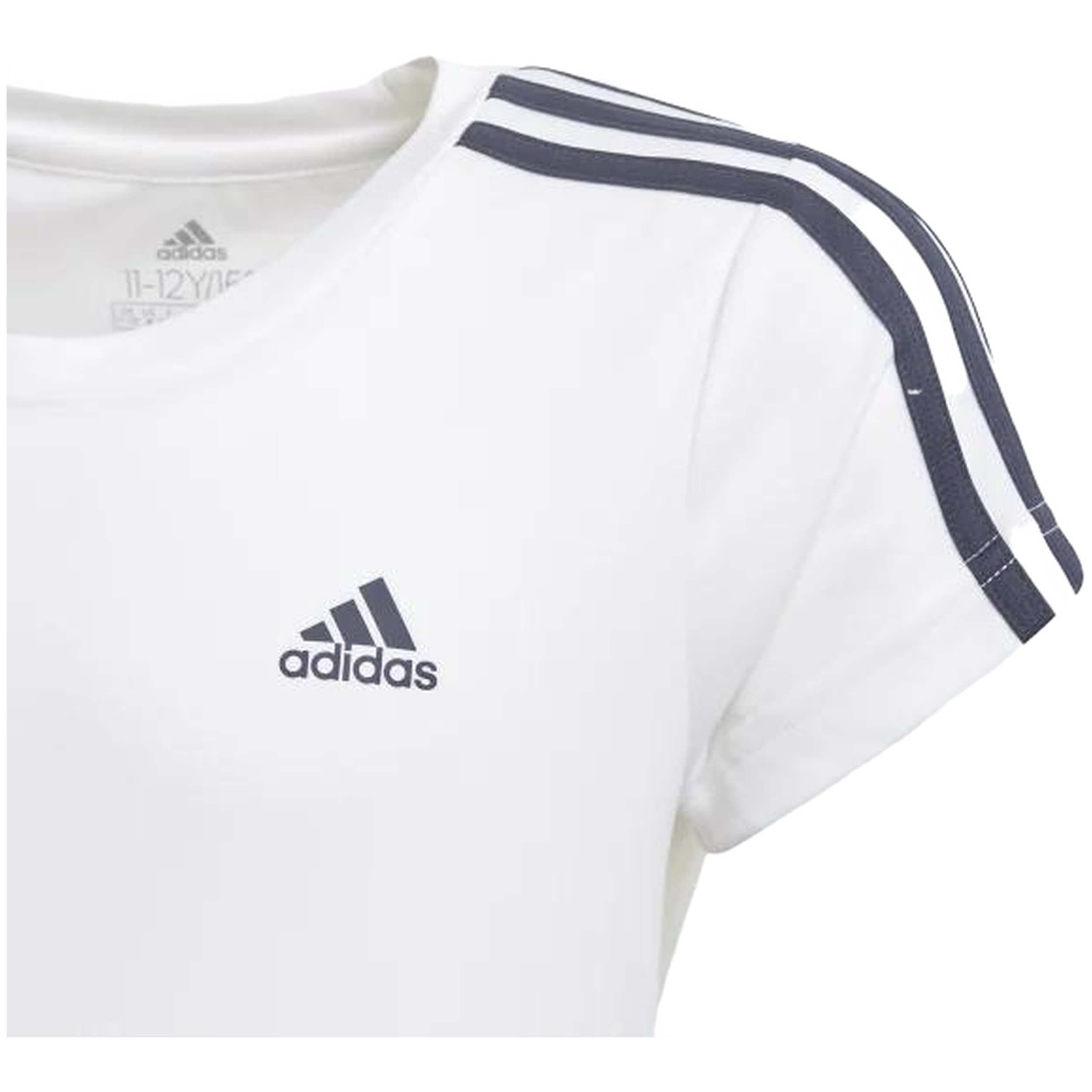 Imagen del producto con referencia GN1456