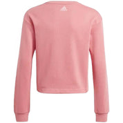 Sudadera Adidas Logo Swt