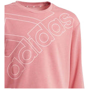 Sudadera Adidas Logo Swt