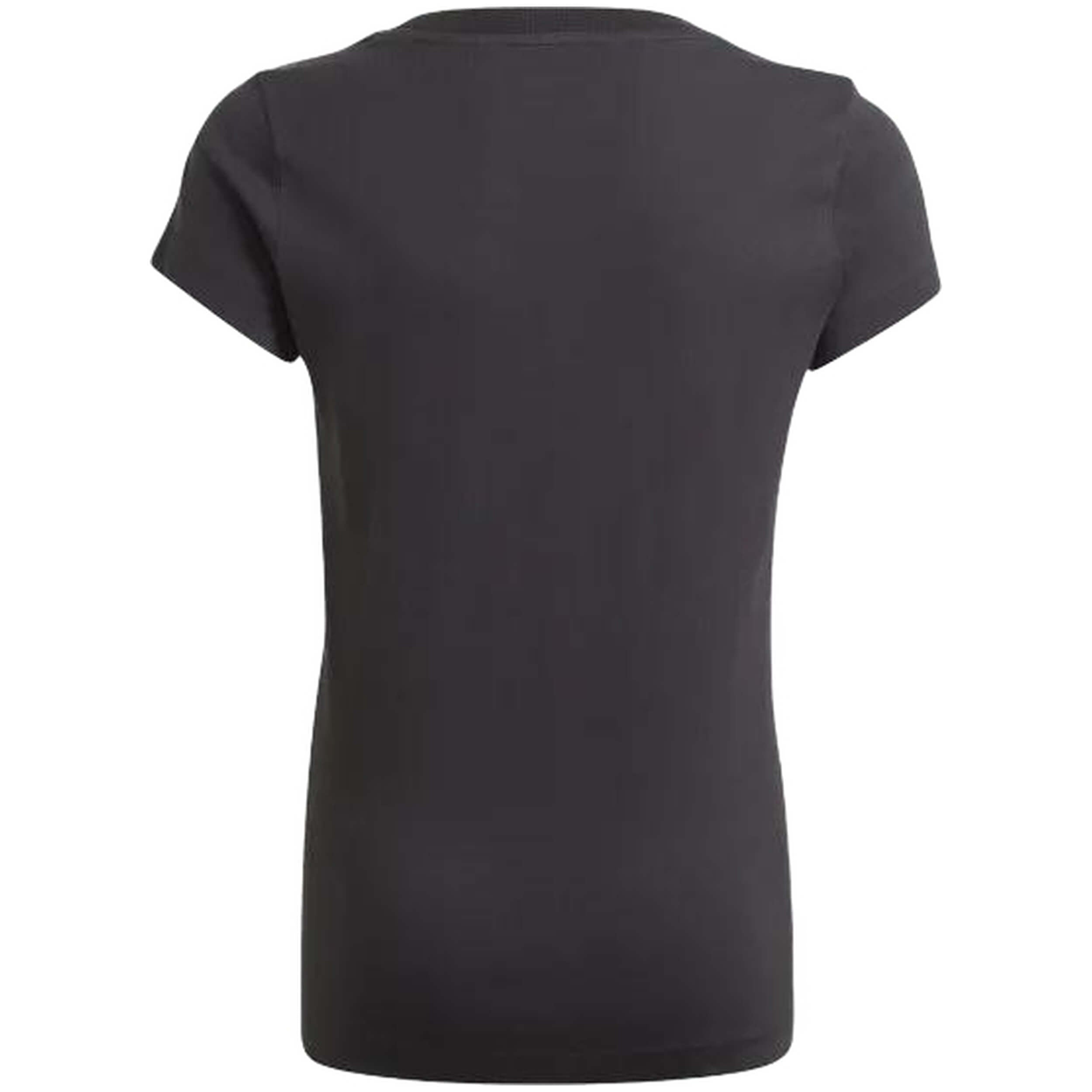 Imagen del producto con referencia GN4069