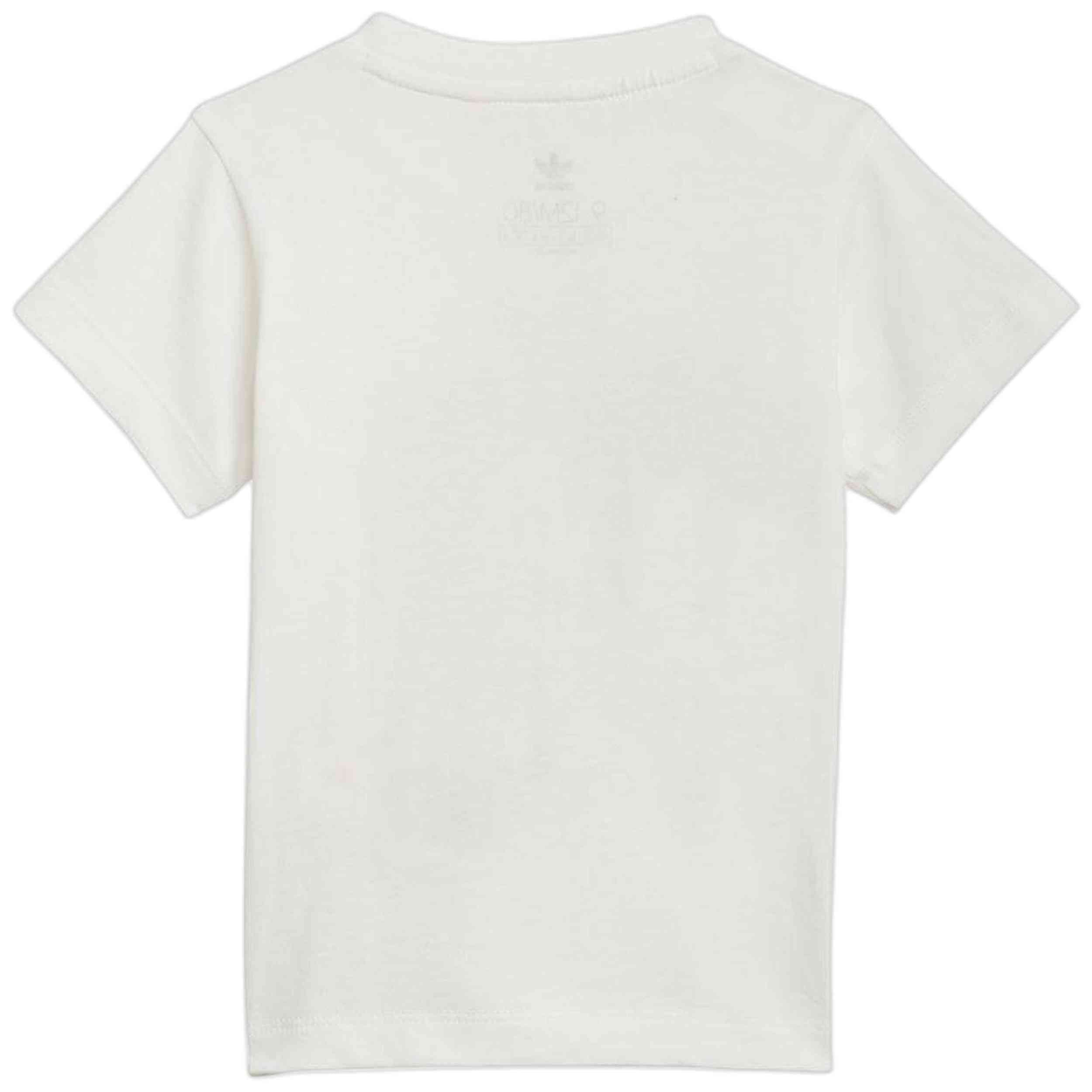 Imagen del producto con referencia GN4115