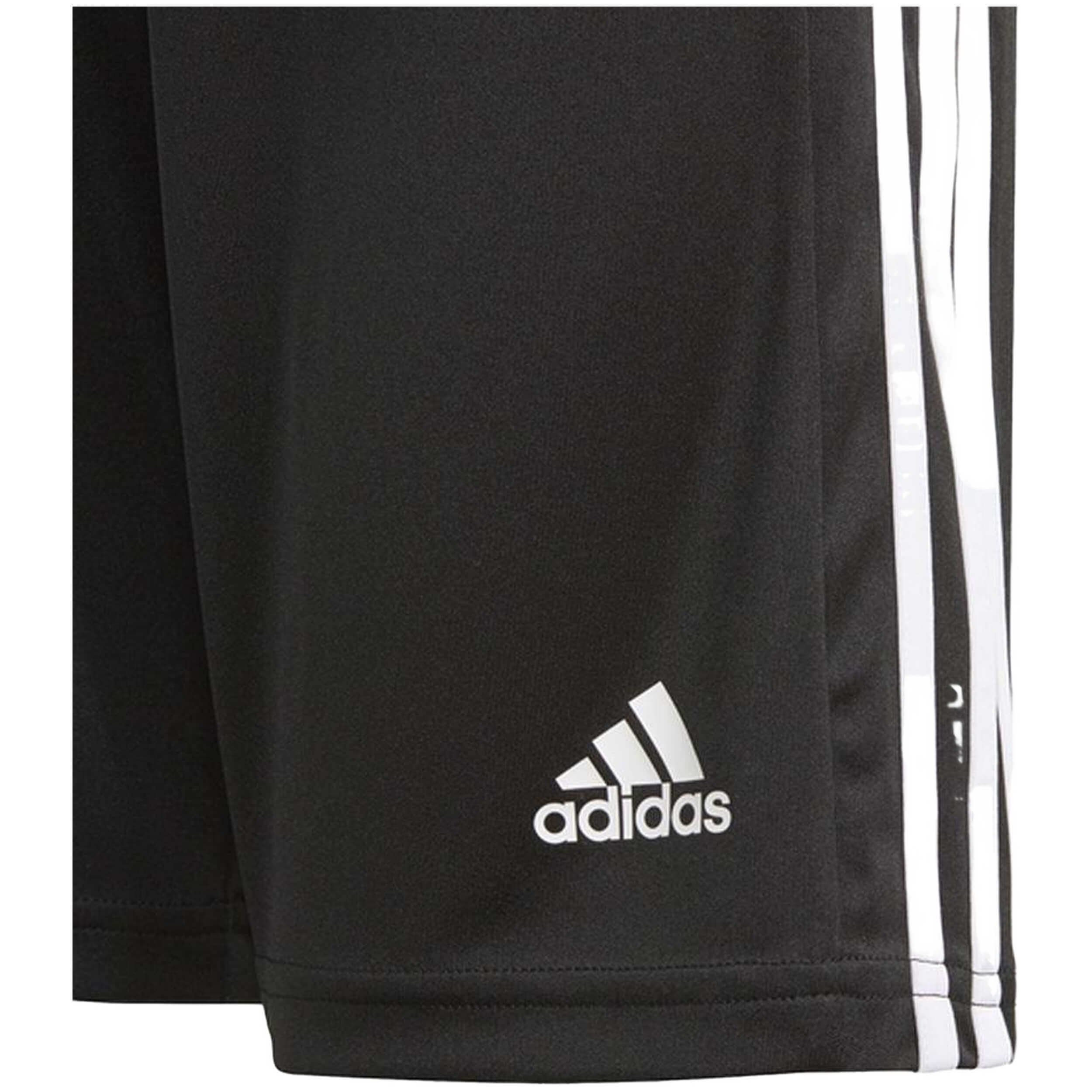 Pantalon Corto Adidas Squadra 21