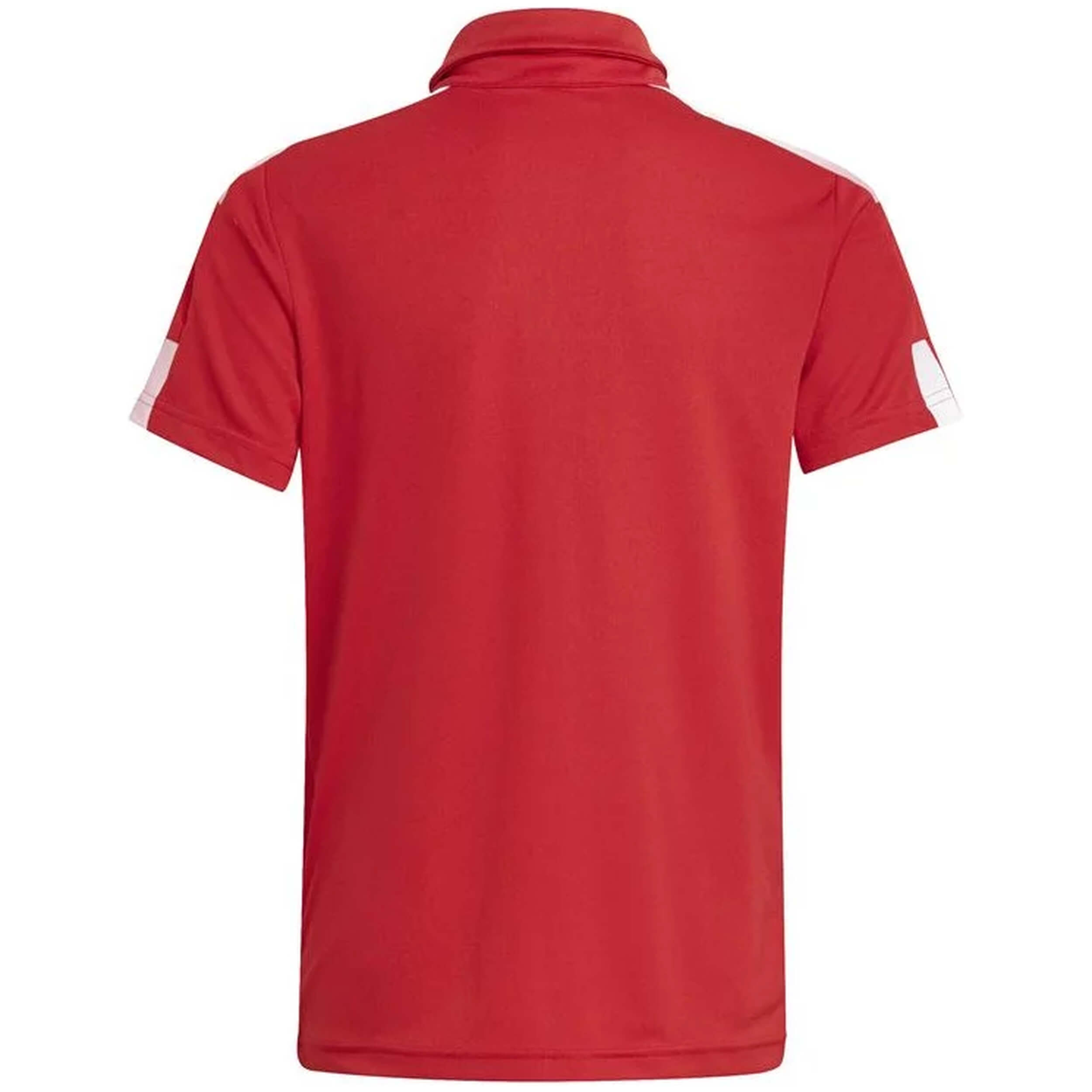 Imagen del producto con referencia GP6423