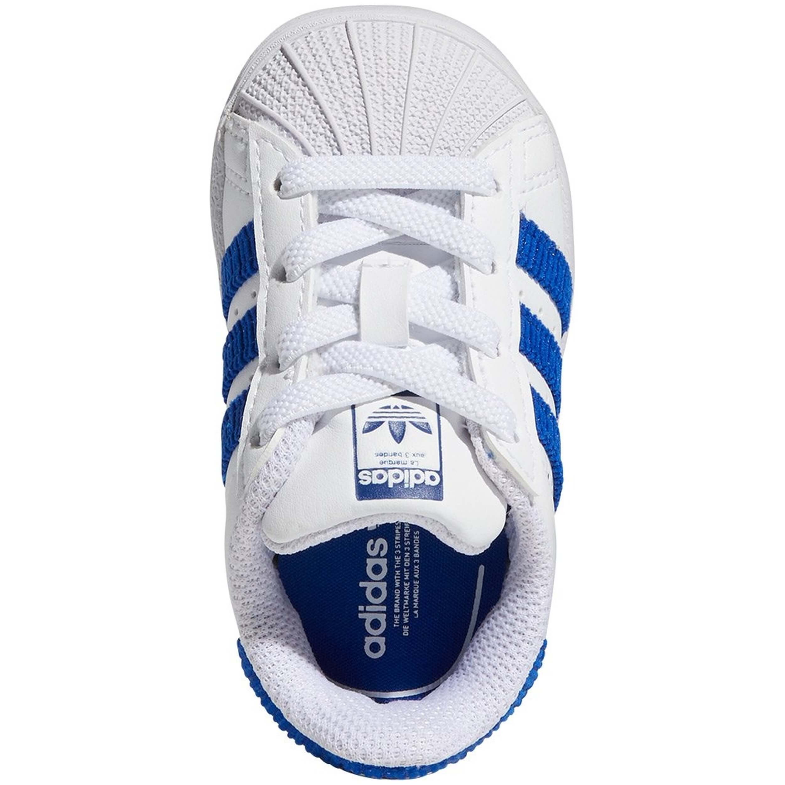 Imagen del producto con referencia GV7953