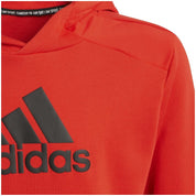 Sudadera Con Capucha Adidas H07740