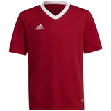 Adidas Entrada 22 Short Sleeve T-Shirt