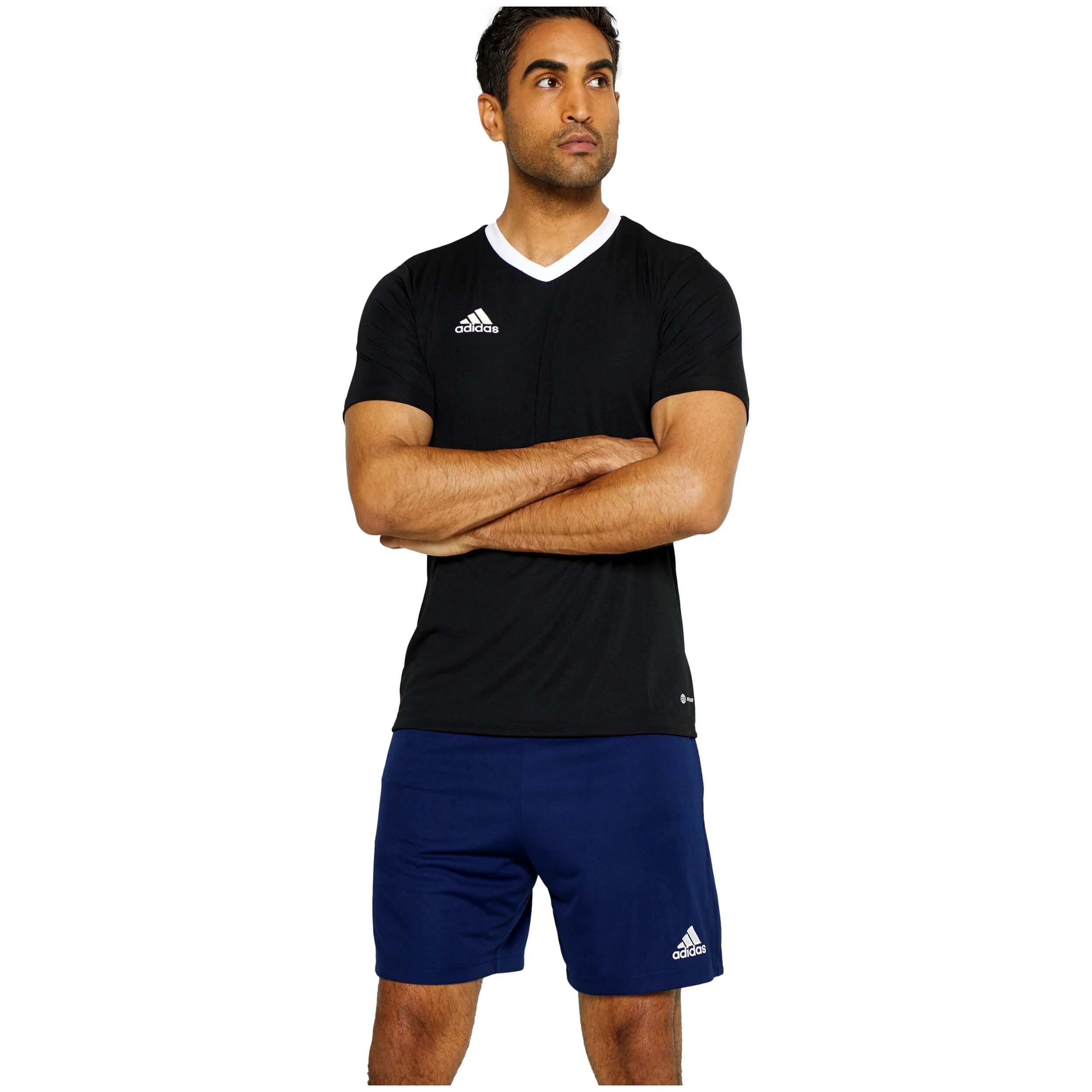 Adidas Entrada 22 Shorts