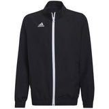 Chaqueta Adidas Entrada 22