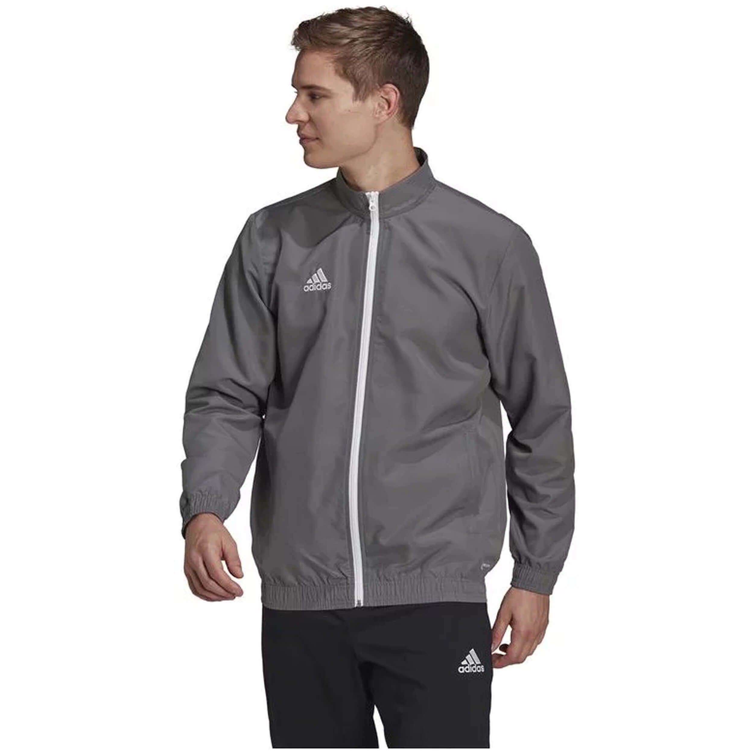 Chaqueta Adidas Entrada 22