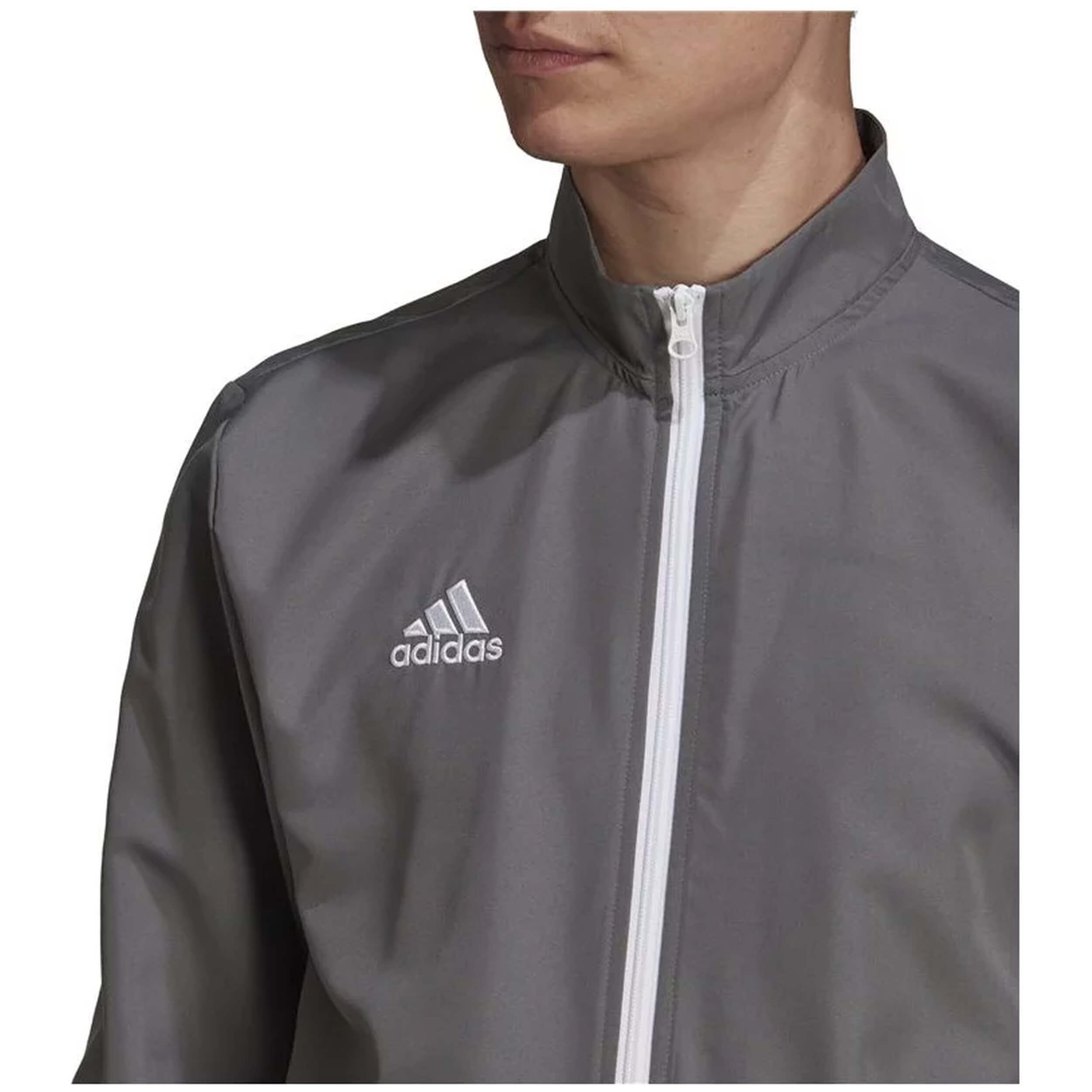 Chaqueta Adidas Entrada 22