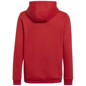 Adidas Entrada 22 Hoodie