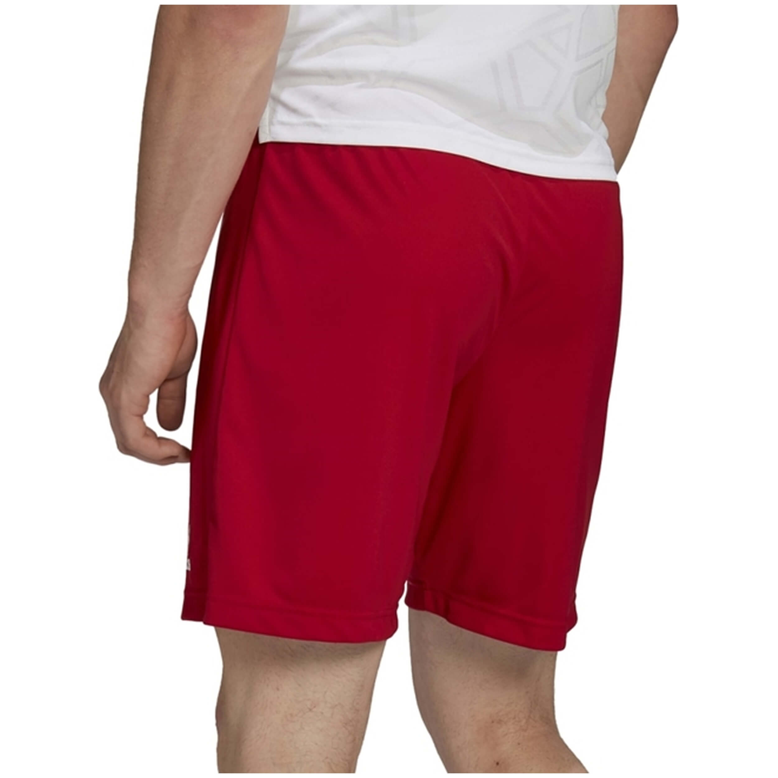 Adidas Entrada 22 Shorts