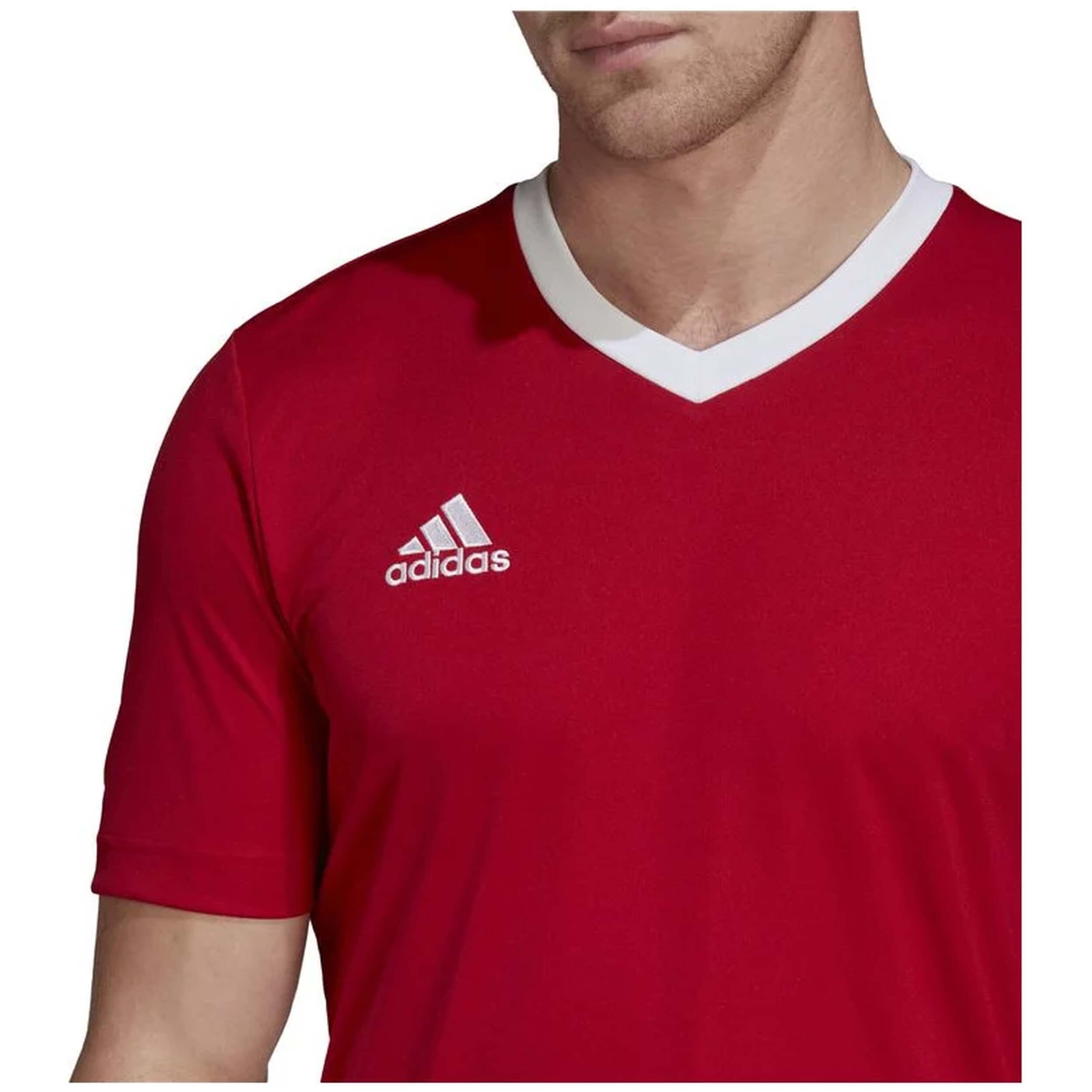 Adidas Entrada 22 Short Sleeve T-Shirt