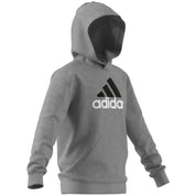 Adidas Essentials Two-Colored Big Logo Hoodie