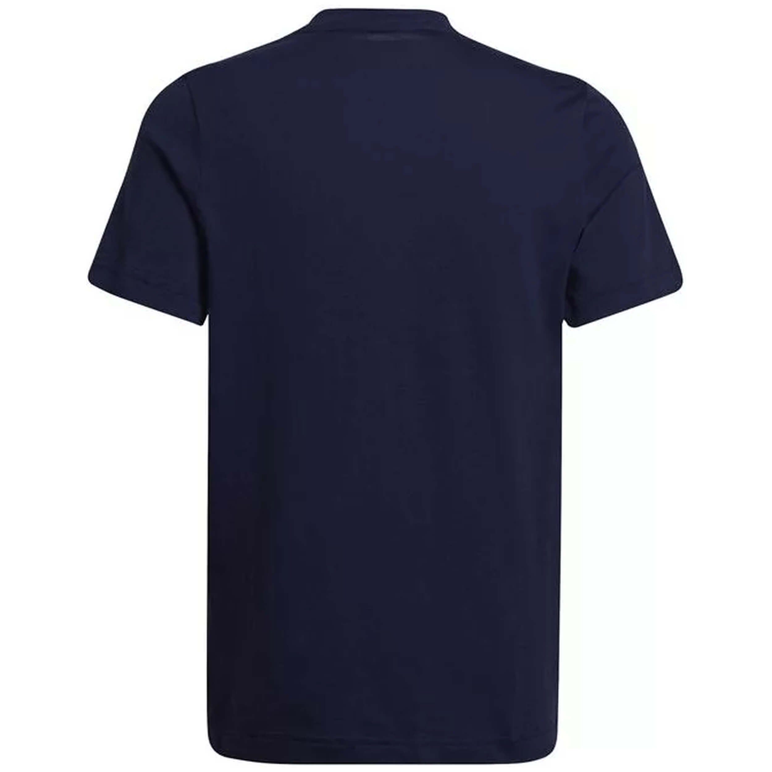 Imagen del producto con referencia HC0445