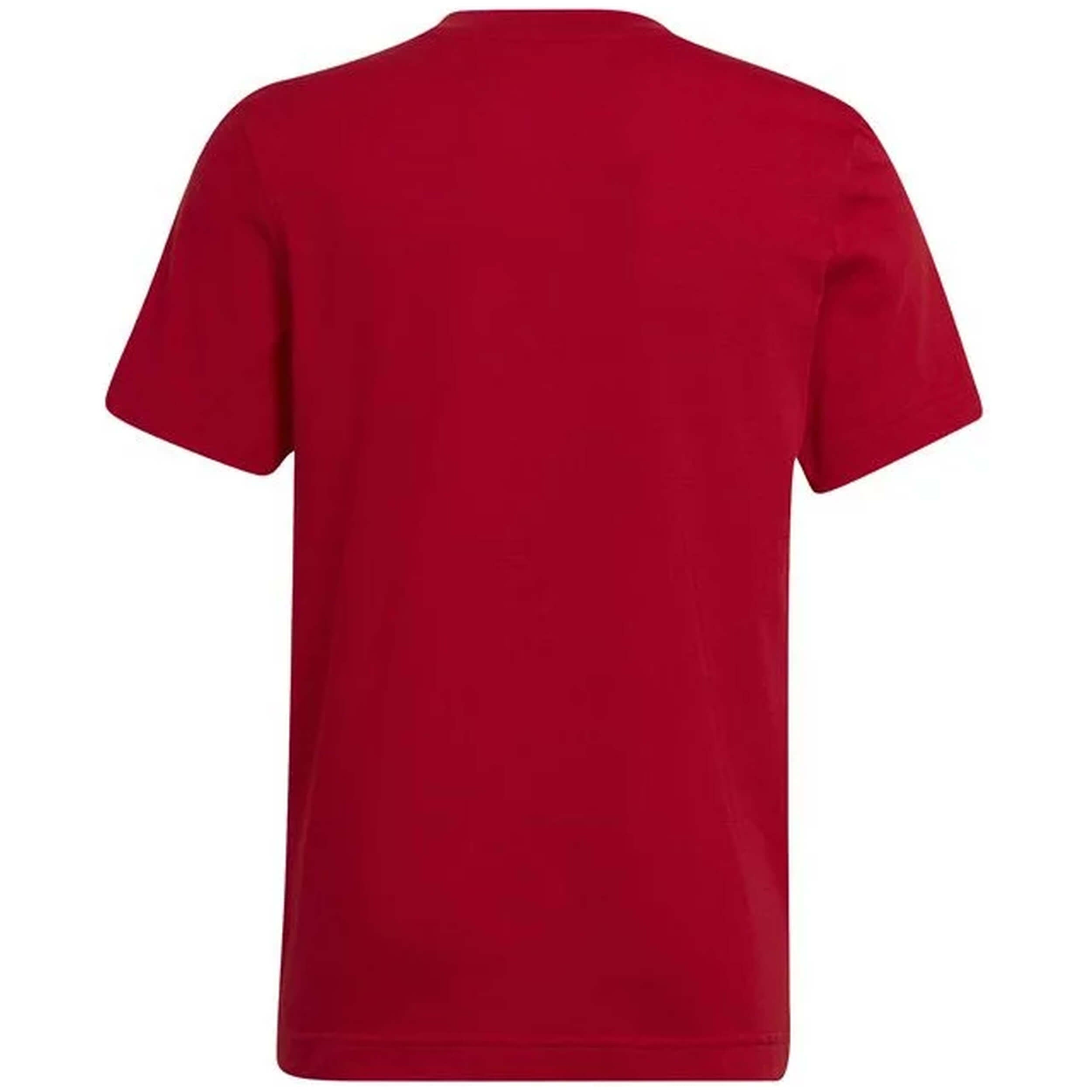 Imagen del producto con referencia HC0446
