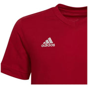 Imagen del producto con referencia HC0446