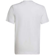 Imagen del producto con referencia HC0447