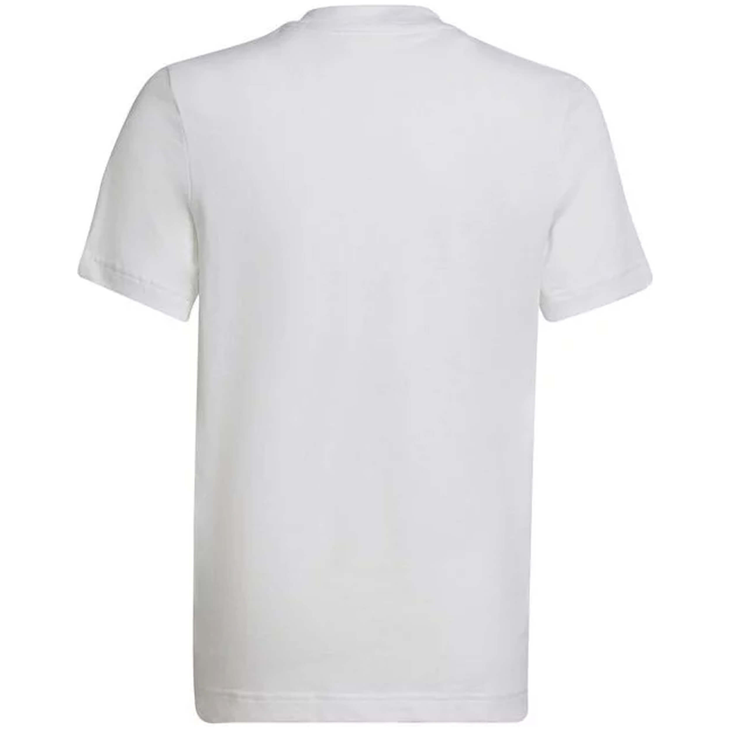 Imagen del producto con referencia HC0447