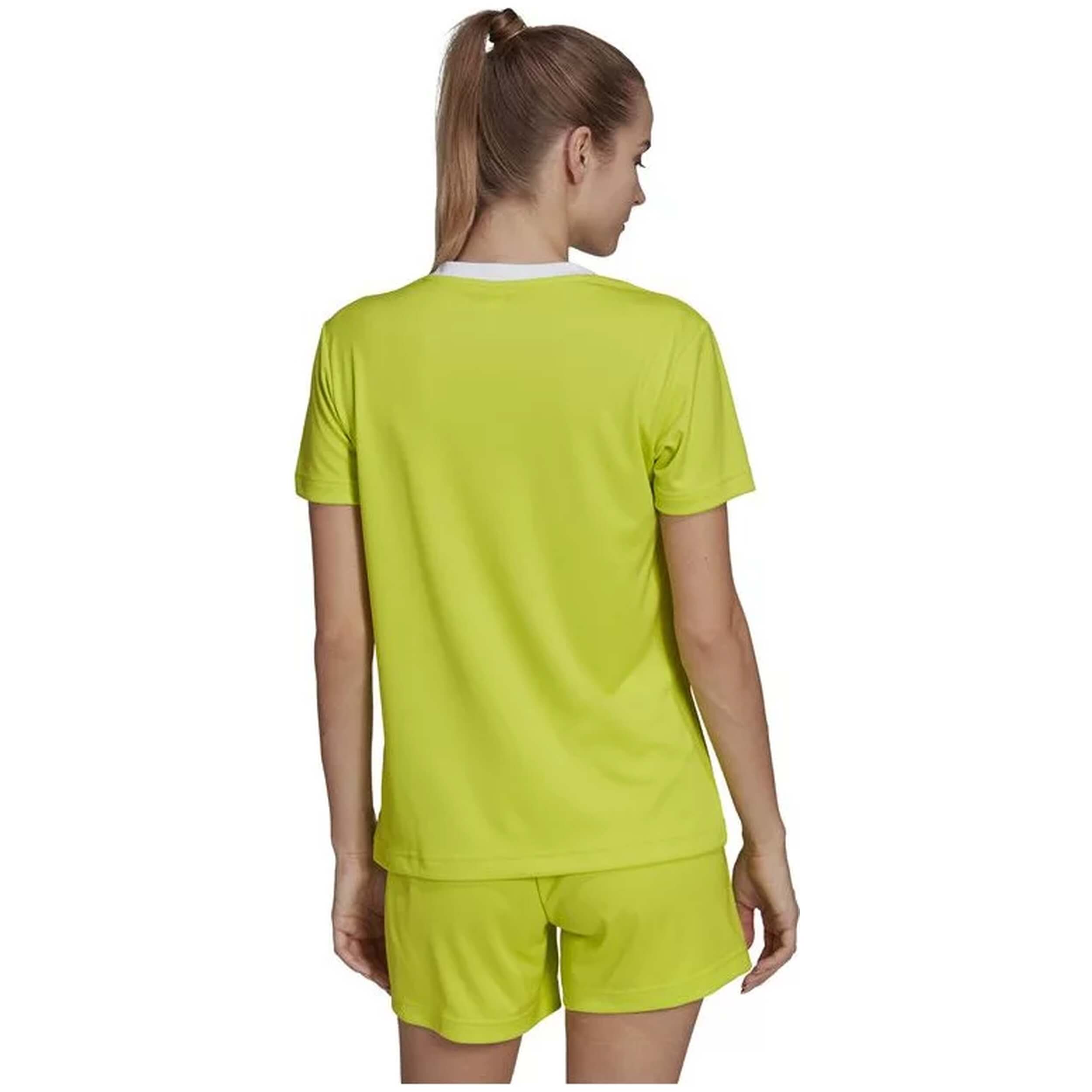 Imagen del producto con referencia HC5080