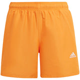 Bañador Adidas