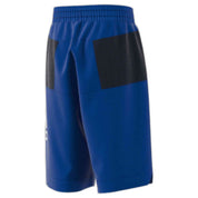 Pantalon Corto Adidas Lb Kn