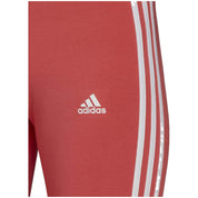Malla Corta Adidas Hf1862