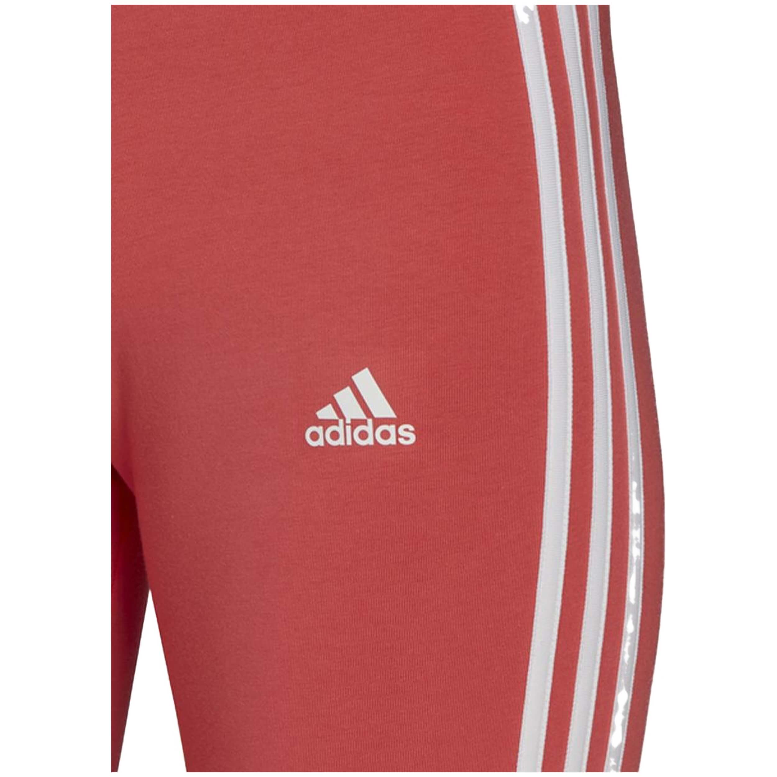 Malla Corta Adidas Hf1862