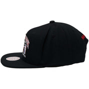 Mitchell &amp; Ness Chicago Bulls Cap