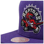  Mitchell & Ness Toronto Raptors