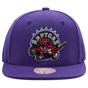  Mitchell & Ness Toronto Raptors