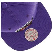 Mitchell & Ness Toronto Raptors