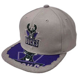 Gorra Mitchell & Ness