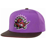 Gorra Mitchell & Ness
