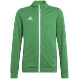 Chaqueta De Chandal Adidas Entrada 22 "Team Green / White"