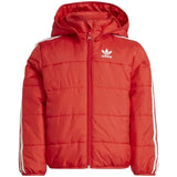 Adidas Padded Hoodie