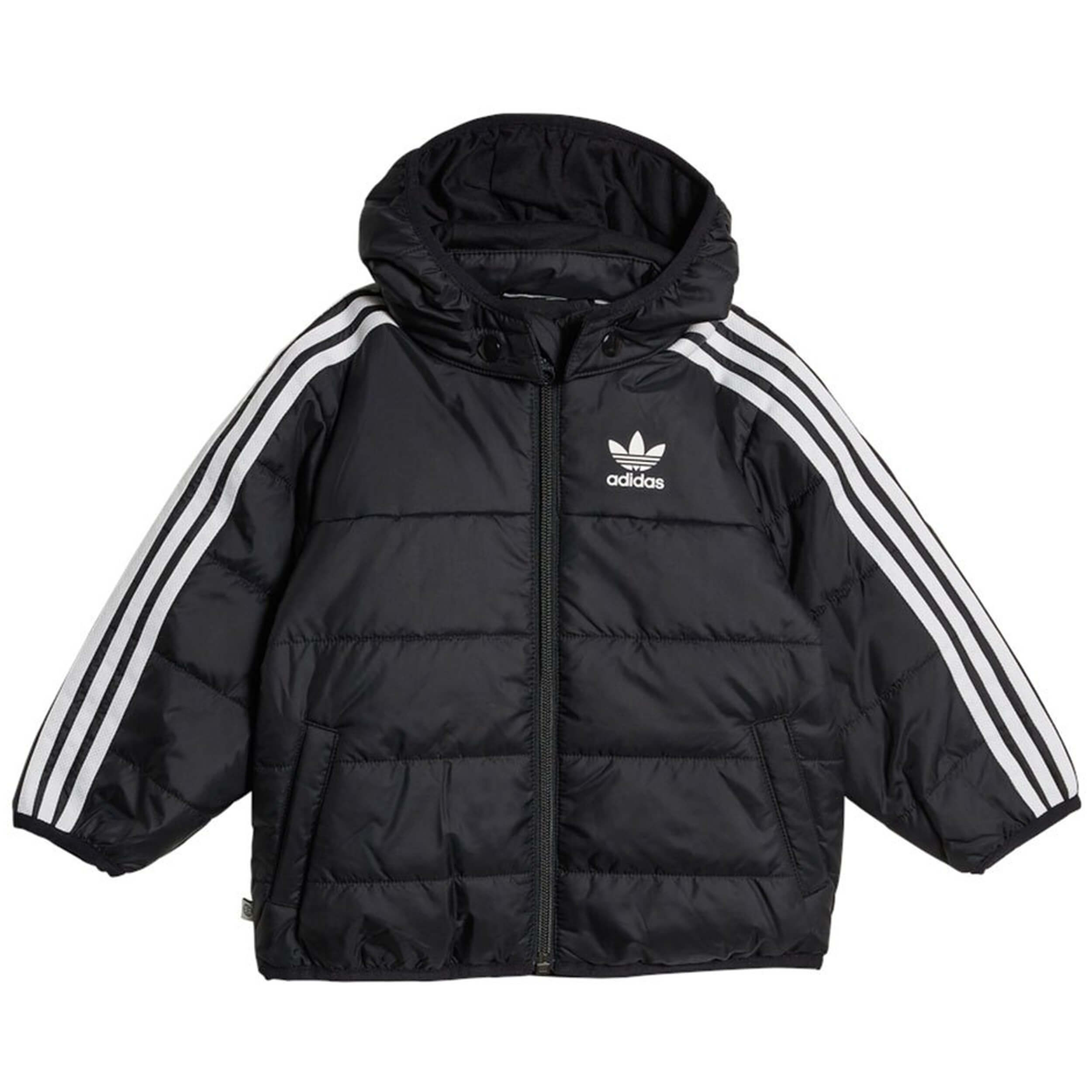 Chaqueta Adidas Padded