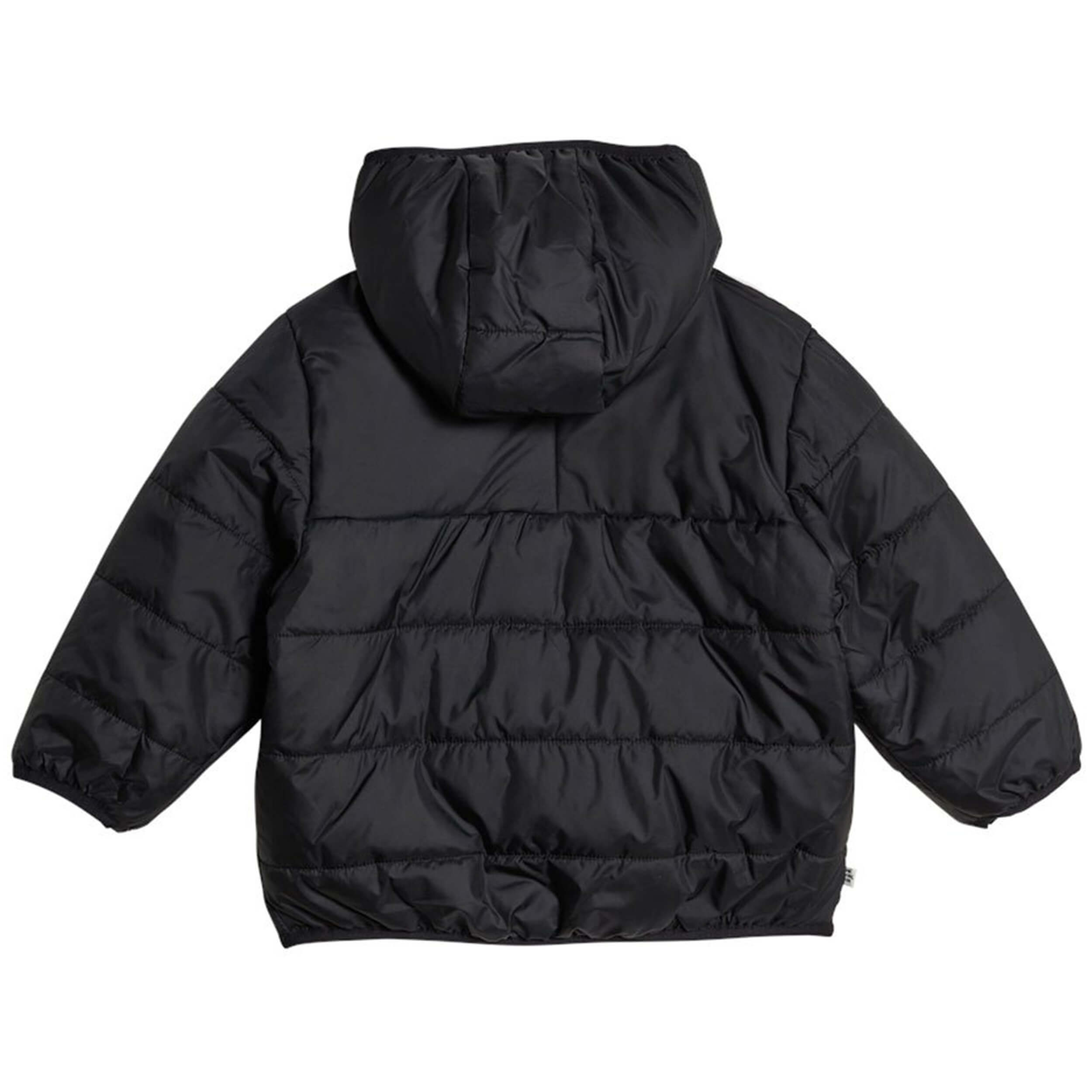 Chaqueta Adidas Padded