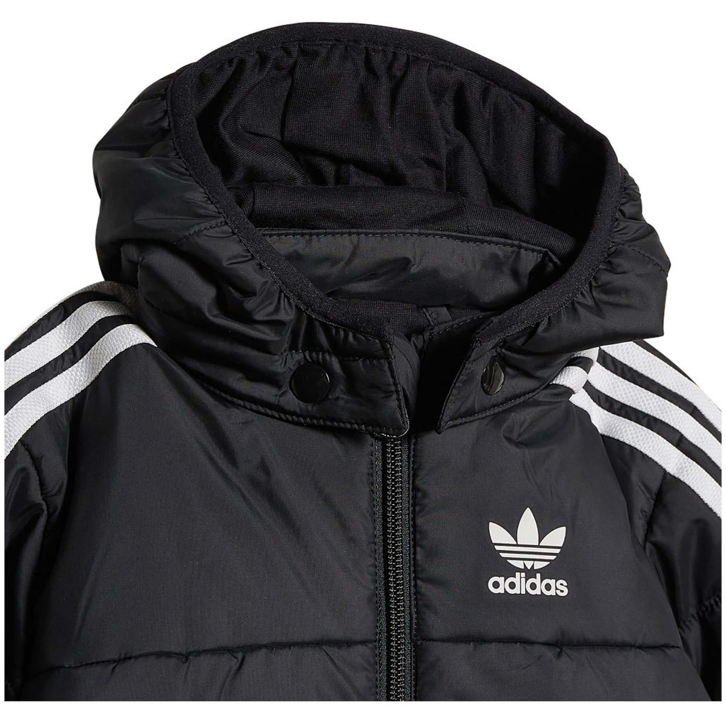 Chaqueta Adidas Padded