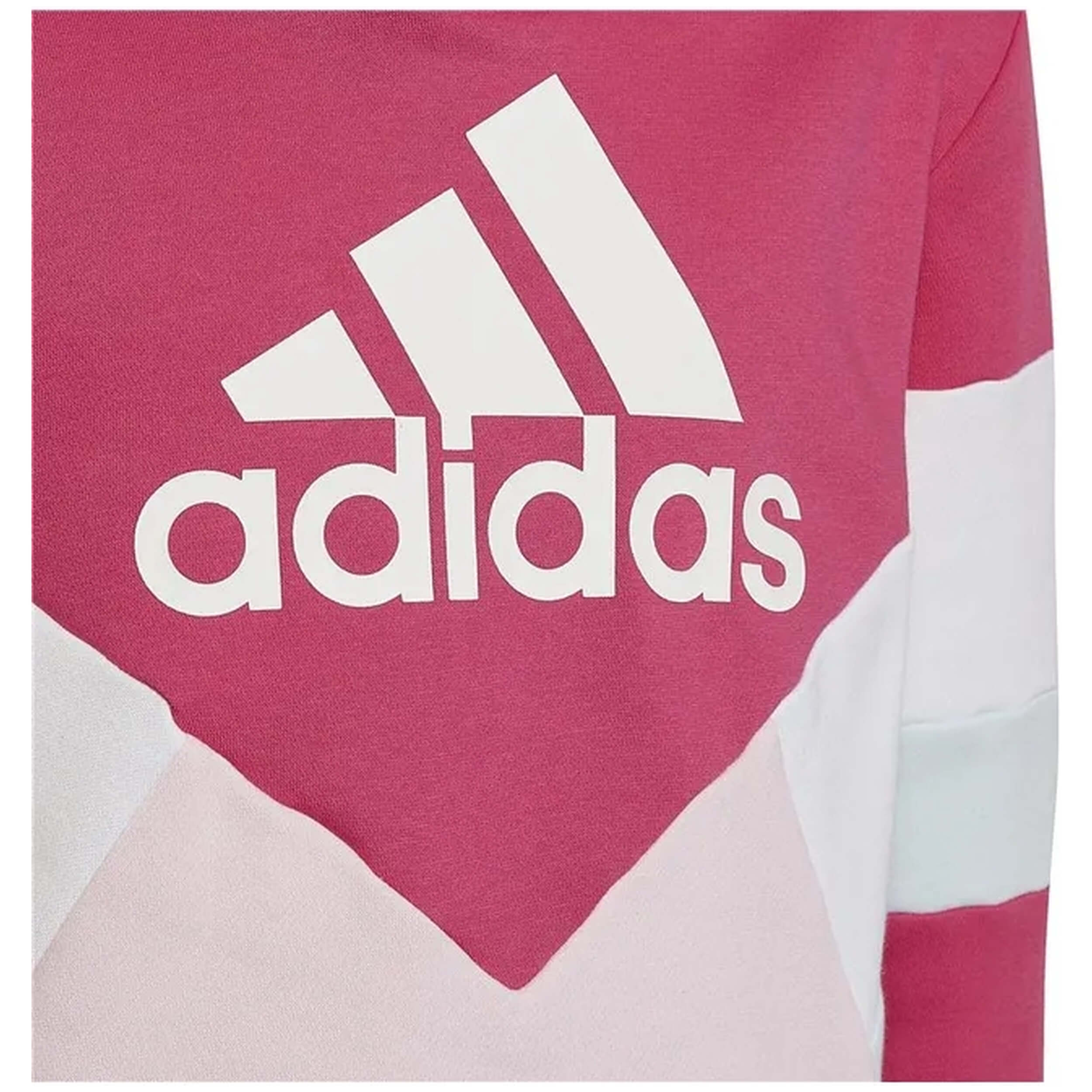 Sudadera Con Capucha Adidas Club