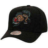 Gorra Mitchell & Ness Hp12161Vgr