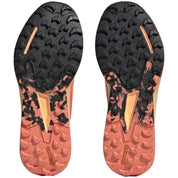 Zapatillas Adidas Terrex Agravic Flow 2