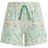 Adidas Hr5833 Shorts