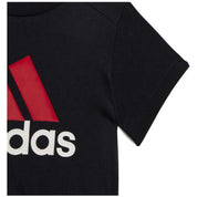 Conjunto Adidas I Co