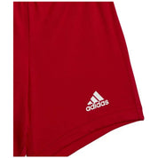 Conjunto Adidas I Co