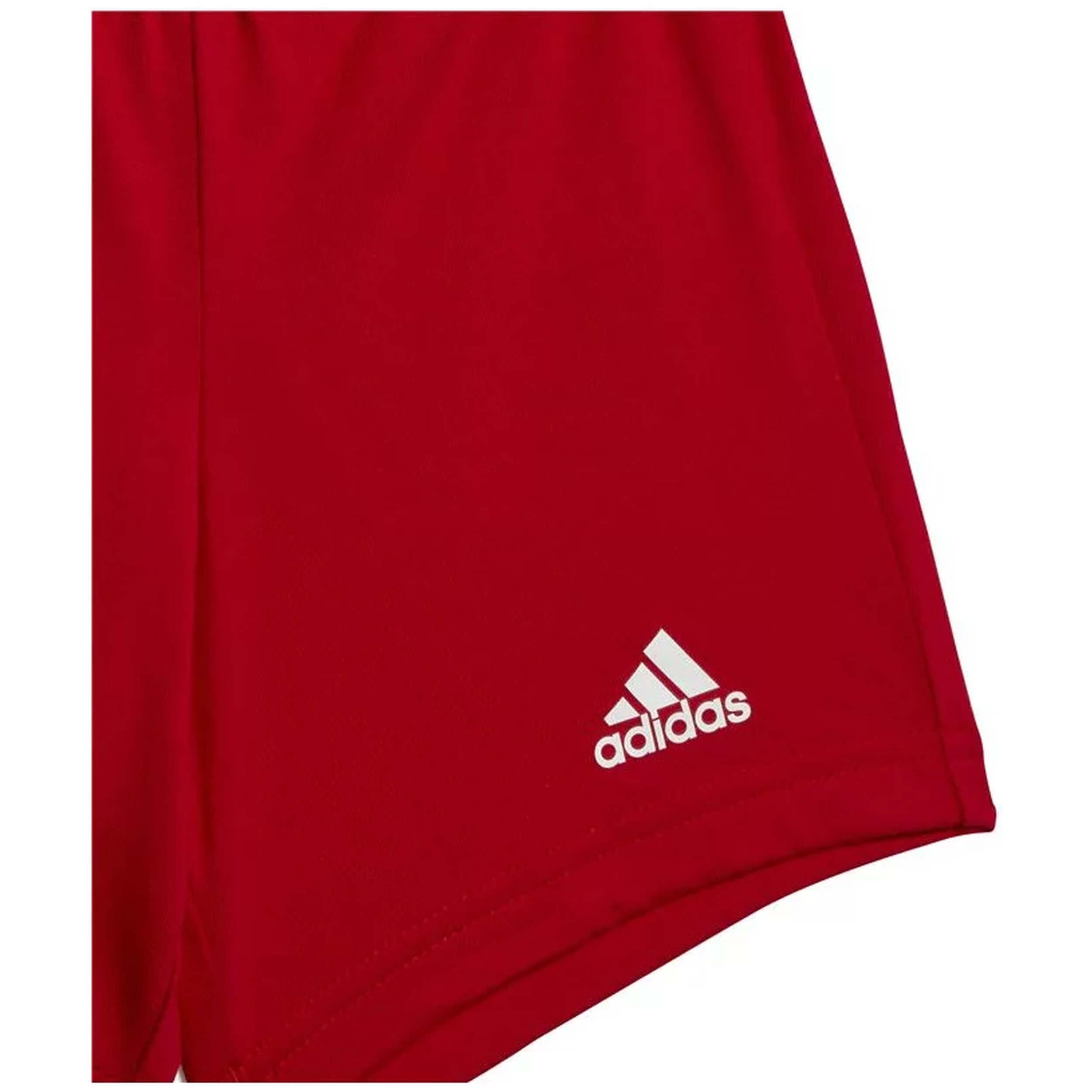 Conjunto Adidas I Co