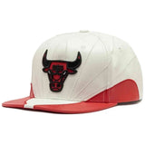 Gorra Mitchell & Ness